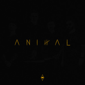 Listen to AM ŞOFER song with lyrics from HVNDS