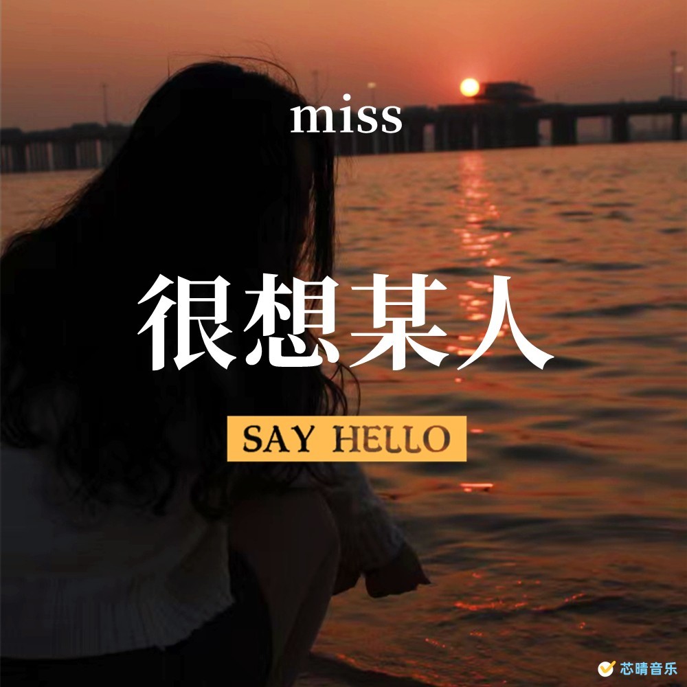 很想某人 (伴奏)
