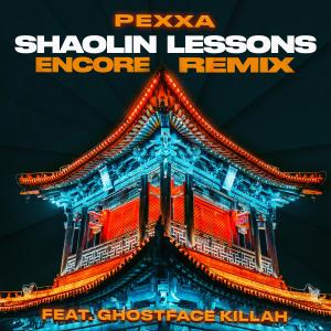 SHAOLIN LESSONS (feat. Ghostface Killah) [ENCORE REMIX] [Explicit]