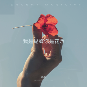楊鑫的專輯我是蝴蝶你是花@