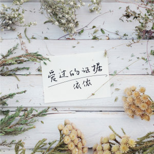 收聽依儂的愛過的證據 (伴奏)歌詞歌曲