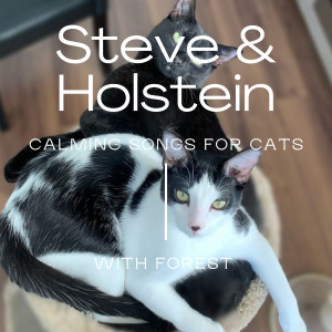 Listen to Steve & Holstein song with lyrics from Forest