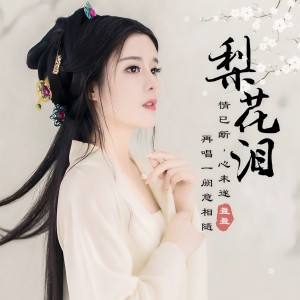 收聽盈盈的梨花淚 (伴奏)歌詞歌曲