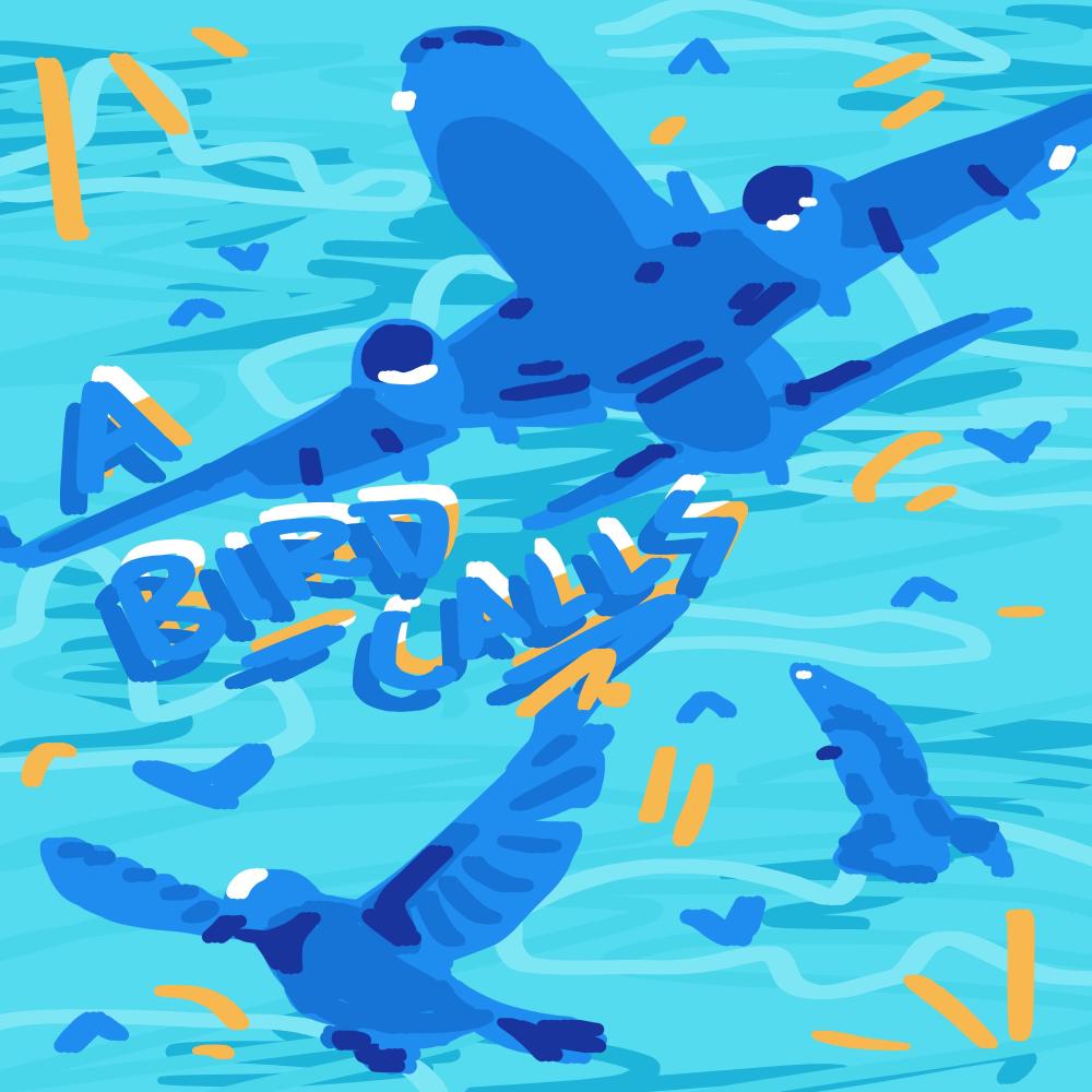 A Bird Calls