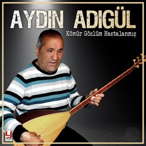 Listen to Şeker Oğlan song with lyrics from Aydın Adıgül