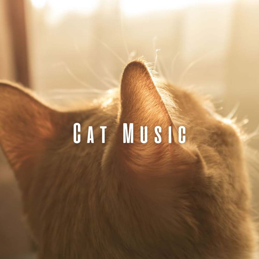 Pawsitively Dreamy