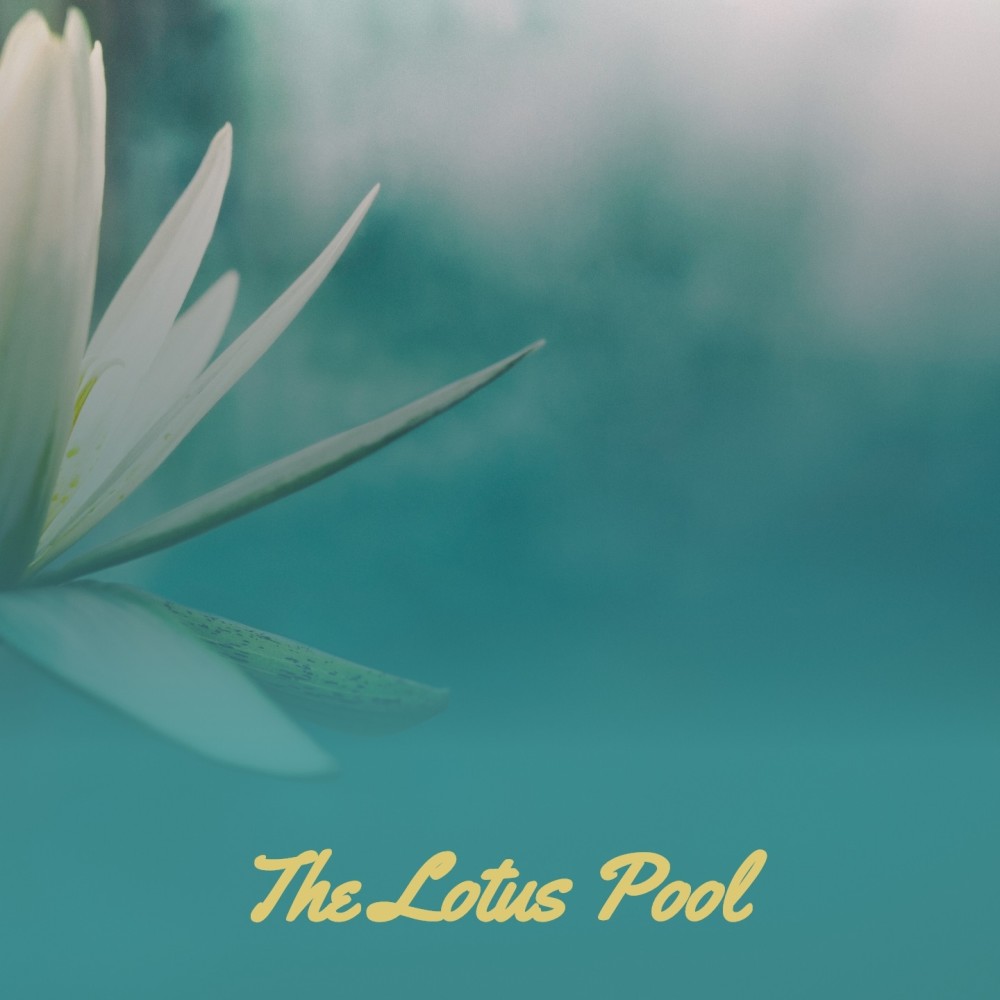 The Lotus Pool