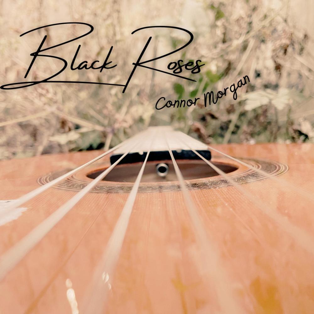 Black Roses (Early Composition)