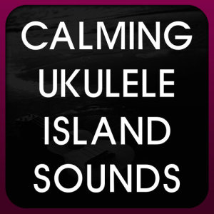 ดาวน์โหลดและฟังเพลง Key to My Heart พร้อมเนื้อเพลงจาก Calming Ukulele Island Sounds