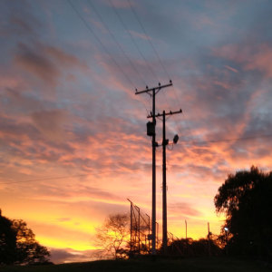 收聽Mosco Caña Brava的Noche de Chacales歌詞歌曲