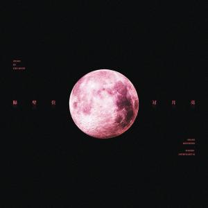 收聽尚東峰的冬·雪豹 (完整版)歌詞歌曲