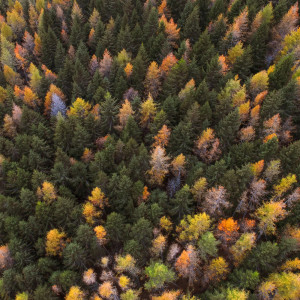 收聽Relaxing Music的Reduce Stress歌詞歌曲