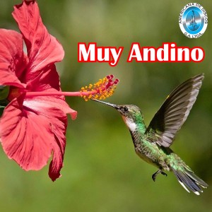 Listen to El Ultimo Pasillo song with lyrics from Manuel De J. Bernal