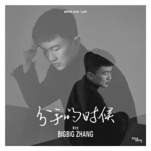 收聽张大大的分手的時候歌詞歌曲