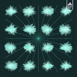 Album Ice Flowers from !noJ