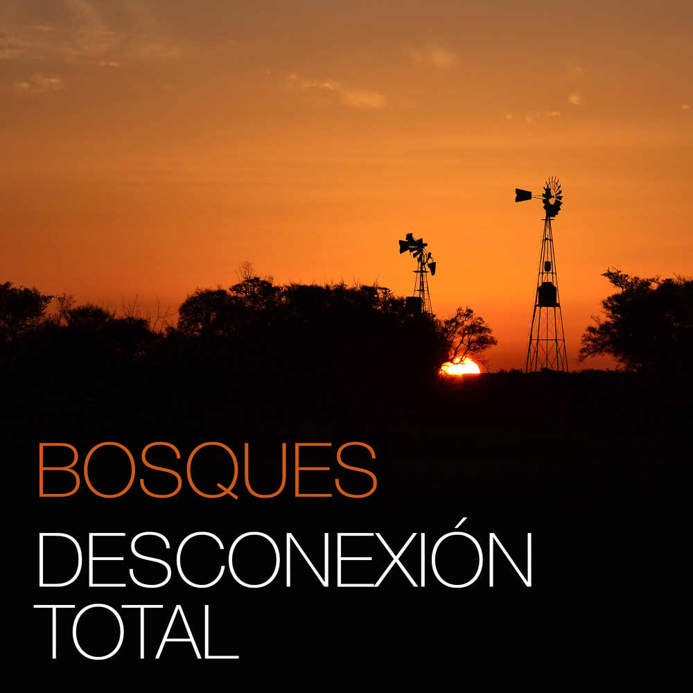 Desconexión total