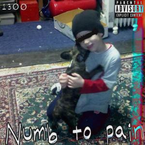 1300的專輯Numb to Pain (Explicit)