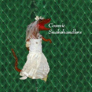收聽Cosmic Snakehandlers的Flowers & Dirt歌詞歌曲