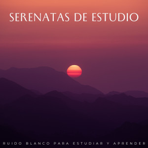 Album Serenatas De Estudio: Ruido Blanco Para Estudiar Y Aprender oleh Ruido blanco de 500 Hz