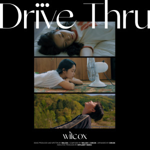 อัลบัม Drive Thru ศิลปิน Wilcox