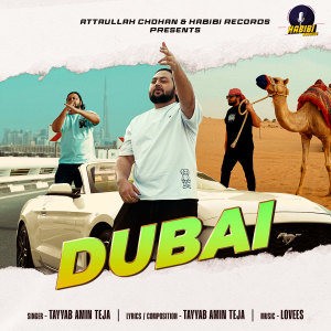Listen to DUBAI song with lyrics from Tayyab Amin Teja