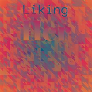Various的专辑Liking Her