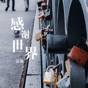 Listen to 感谢世界 song with lyrics from 清源