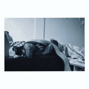 ดาวน์โหลดและฟังเพลง where do you go? (Explicit) พร้อมเนื้อเพลงจาก leroybroughtflowers
