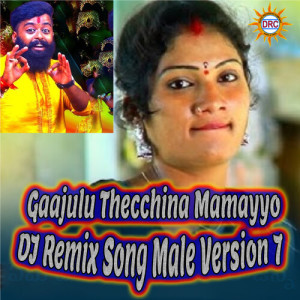 Listen to Gaajulu Thecchina Mamayyo (DJ Remix Song Male Version 7) song with lyrics from Patas Balveer Singh