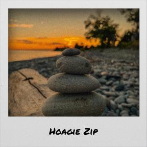 Listen to Hoagie Zip song with lyrics from Tere Mala