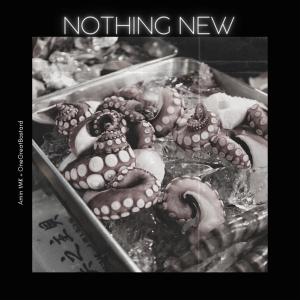 收聽Amin TMK的Nothing New (Explicit)歌詞歌曲