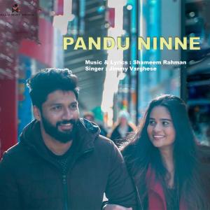 Album Pandu Ninne from Shameem Rahman