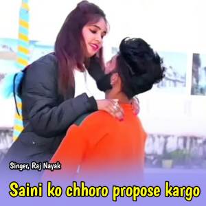 收聽Raj Nayak的Saini ko chhoro propose kargo歌詞歌曲