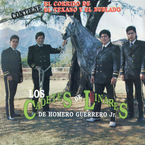 收聽Los Cadetes de Linares de Homero Guerrero Jr.的Te Saque El Corazón歌詞歌曲