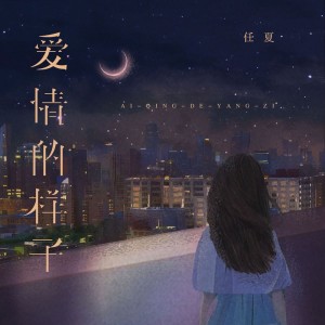 收聽任夏的愛情的樣子歌詞歌曲