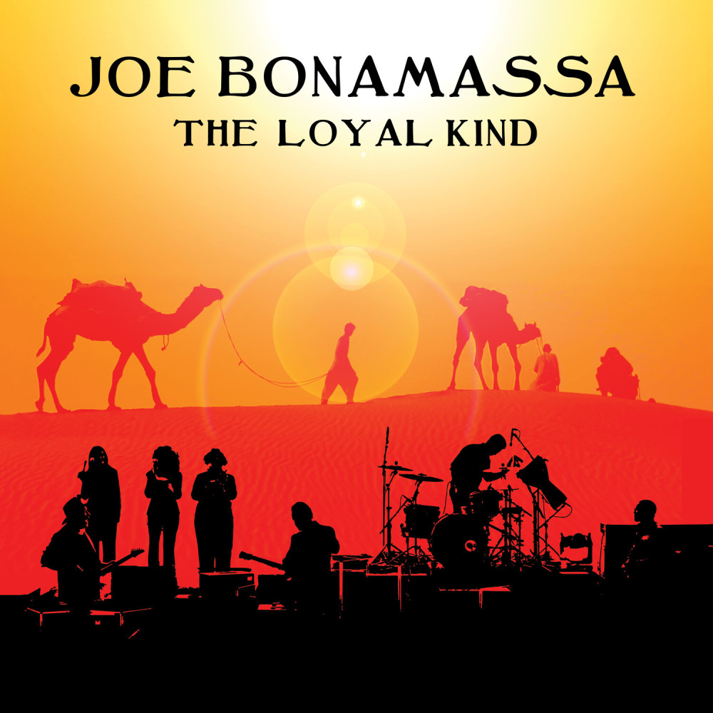 The Loyal Kind