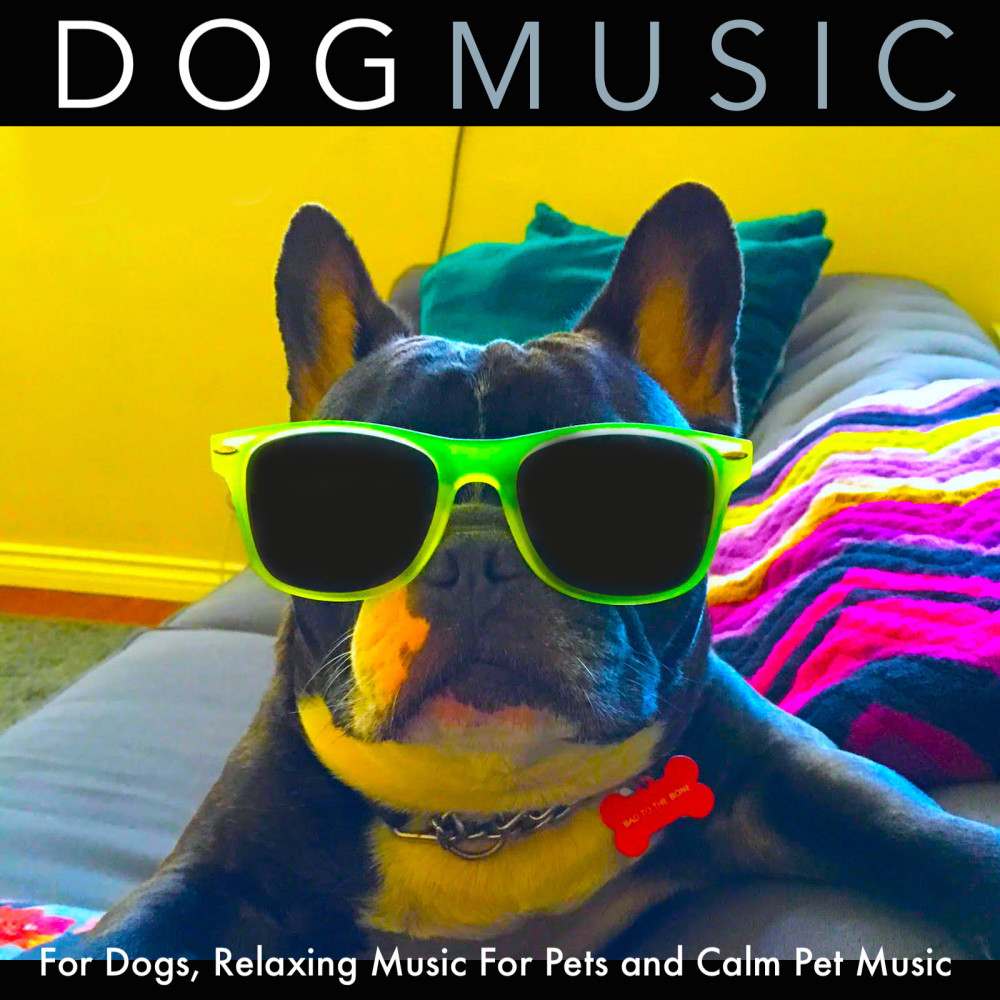 Calm Music for Dogs