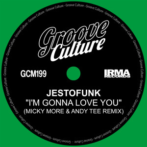 Album I'm Gonna Love You (Micky More & Andy Tee Remix Edit) from Jestofunk