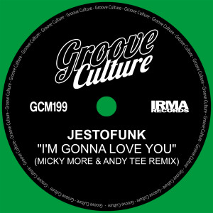 Jestofunk的專輯I'm Gonna Love You (Micky More & Andy Tee Remix Edit)