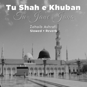 ดาวน์โหลดและฟังเพลง Tu Shah e Khuban Tu Jane Jana (Lofi-Mix) พร้อมเนื้อเพลงจาก Zohaib Ashrafi