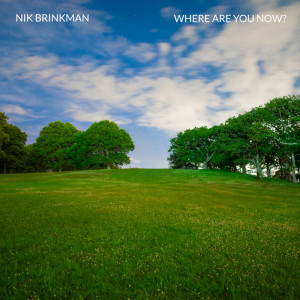 Nik Brinkman的專輯Where Are You Now?