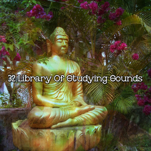 32 Library Of Studying Sounds