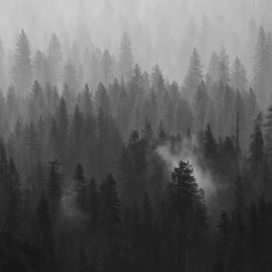 Listen to Enigma song with lyrics from Zen Music Garden
