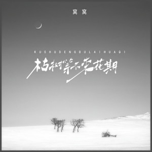 收聽窩窩的枯樹等不來花期 (DJ阿智版)歌詞歌曲