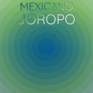 Listen to Mexicano Joropo song with lyrics from Bral Piny