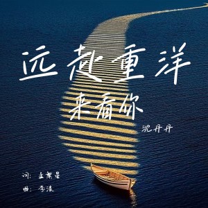 沈丹丹的专辑远赴重洋来看你-沈丹丹