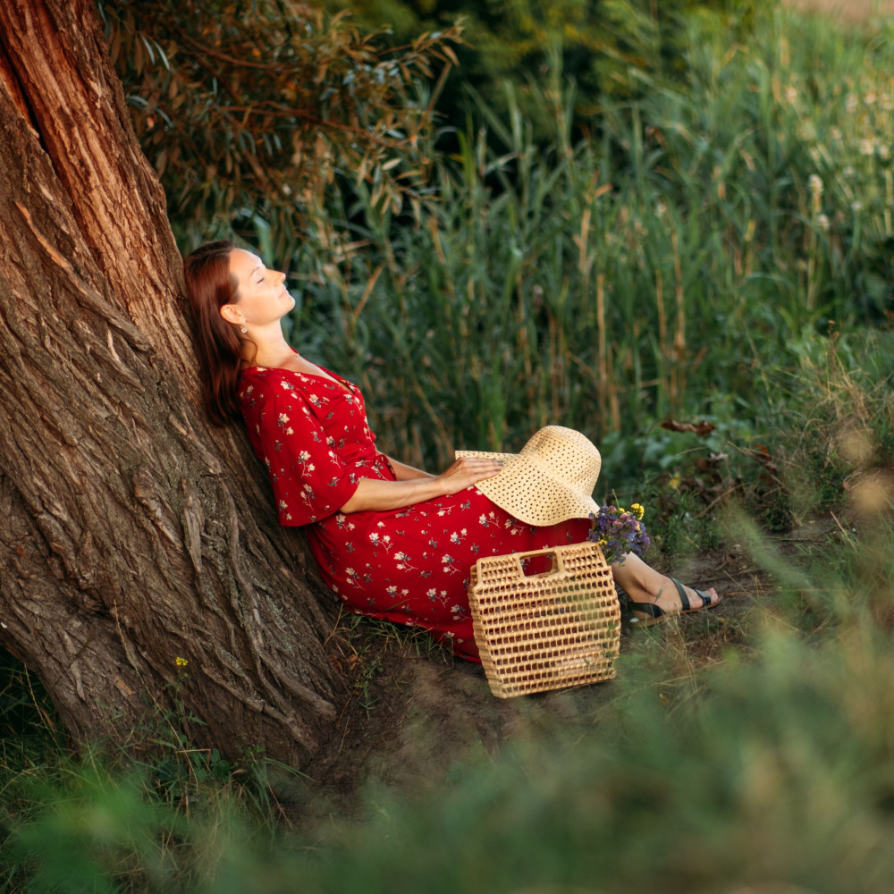 Blissful Nature's Woodland Forest
