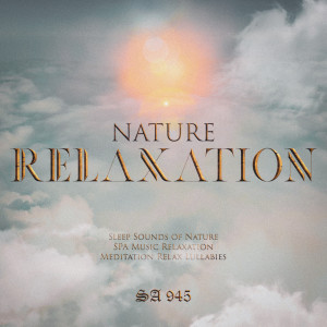 收聽Sleep Sounds of Nature的Nature Sleep歌詞歌曲