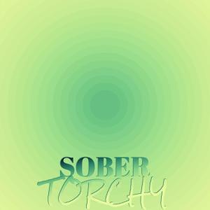 Dengarkan Sober Torchy lagu dari Fania Faleh dengan lirik