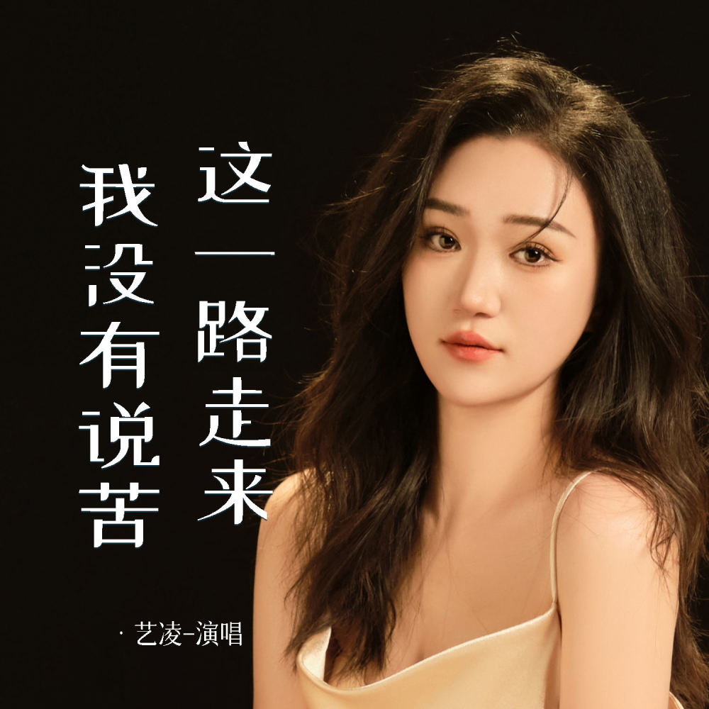 这一路走来我没有说苦 (伴奏)